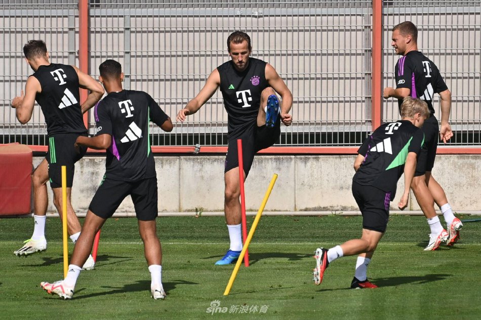 坚实基础 坚实基础